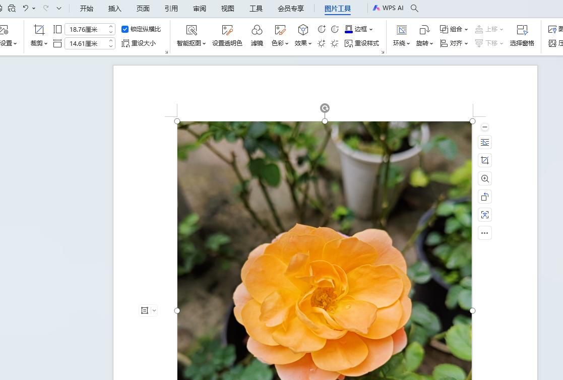 WPS文档如何插入图片