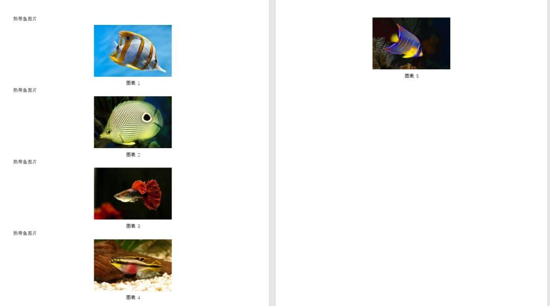 Word如何批量调整图片格式?仅需3步轻松搞定!