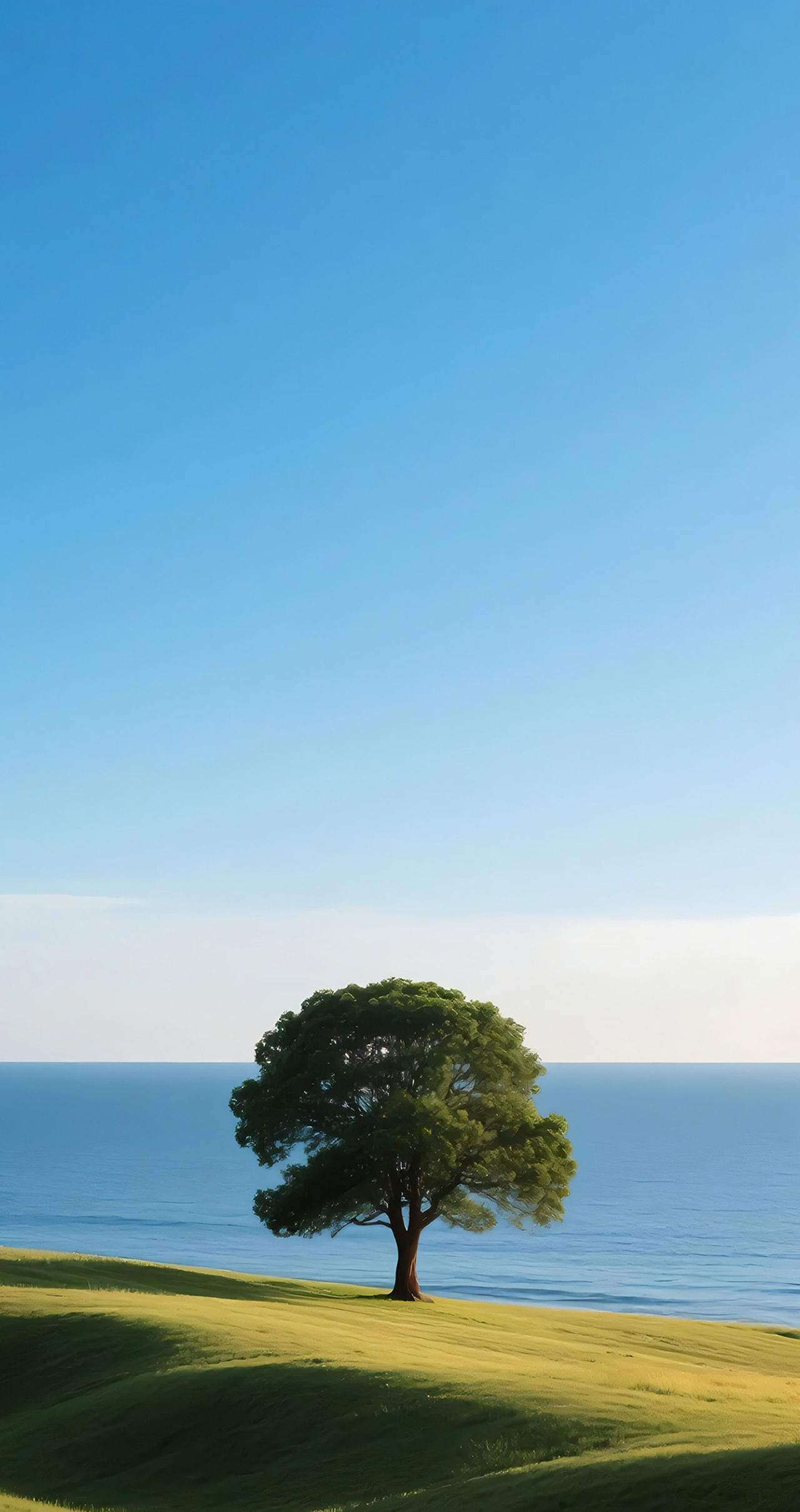 不管你是 iPhone 还是安卓，这篇全风格壁纸都能适配，高级感拉满