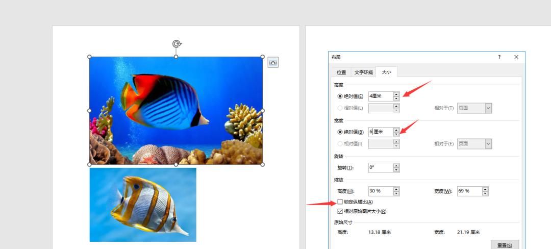 Word如何批量调整图片格式?仅需3步轻松搞定!