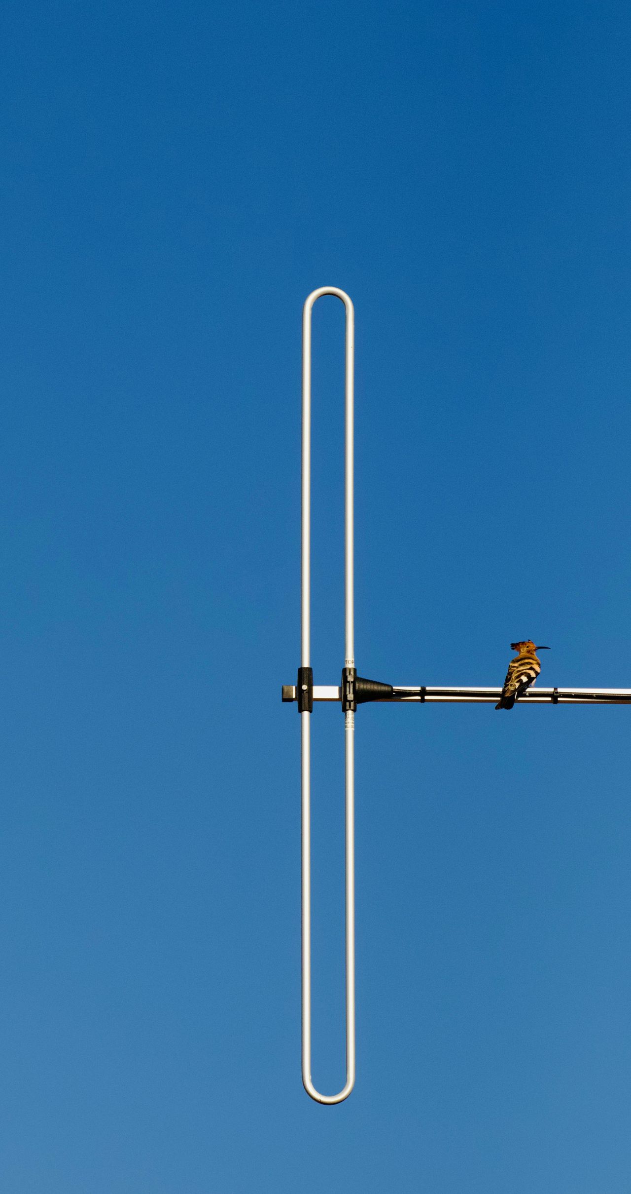 不管你是 iPhone 还是安卓，这篇全风格壁纸都能适配，高级感拉满