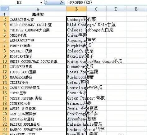 科研软件81难之1---怎么转变Excel表格中英文字母大小写