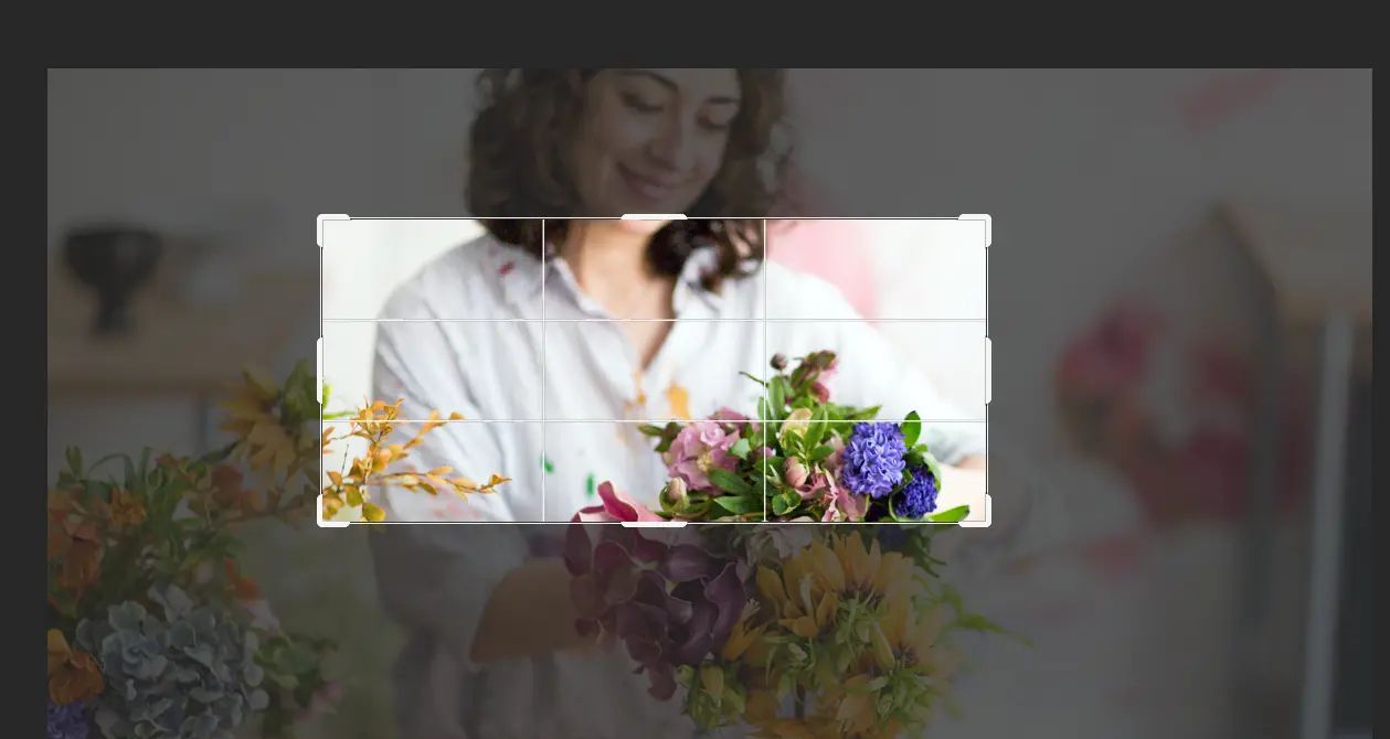 我想学PS(3)-更改图片大小