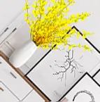 分类入口动画--css3位移滤镜透明度 - 宋马