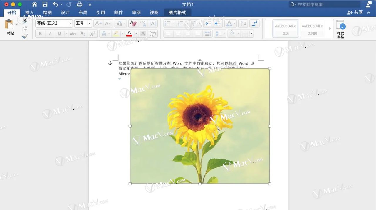 如何在Word中自由移动图片？在 Microsoft Word 中自由移动图片的方法！