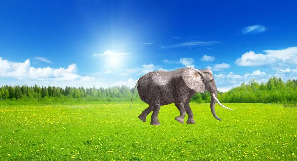 自学Python:图片PS替换背景