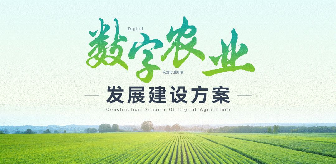 头秃，一页PPT塞了17项内容，改完竟简洁又高级？
