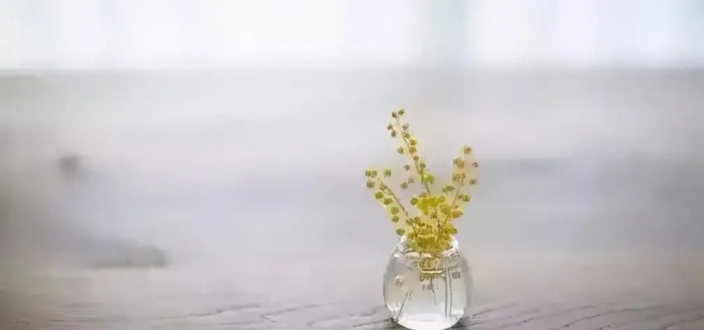 江江悦读|310平视自己，才能看到真实的自己。 - 宋马