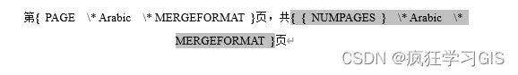 Word不思考封面页数，设置“第X页共Y页”格式页码
