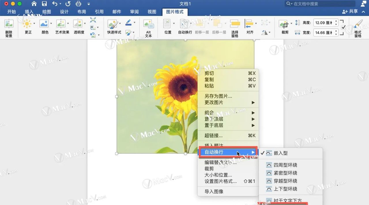 如何在Word中自由移动图片？在 Microsoft Word 中自由移动图片的方法！