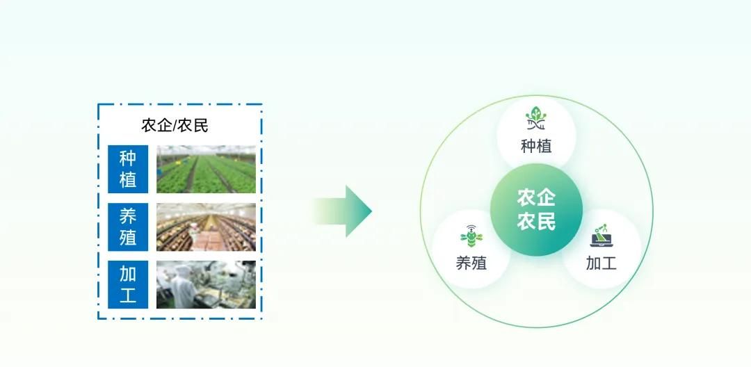 头秃，一页PPT塞了17项内容，改完竟简洁又高级？