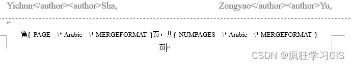 Word不思考封面页数，设置“第X页共Y页”格式页码