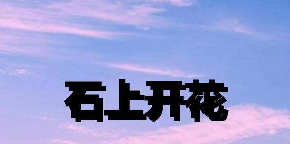PPT中如何设置好看的线条字体？