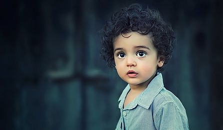 PPT常用神器带飞指南 - 宋马