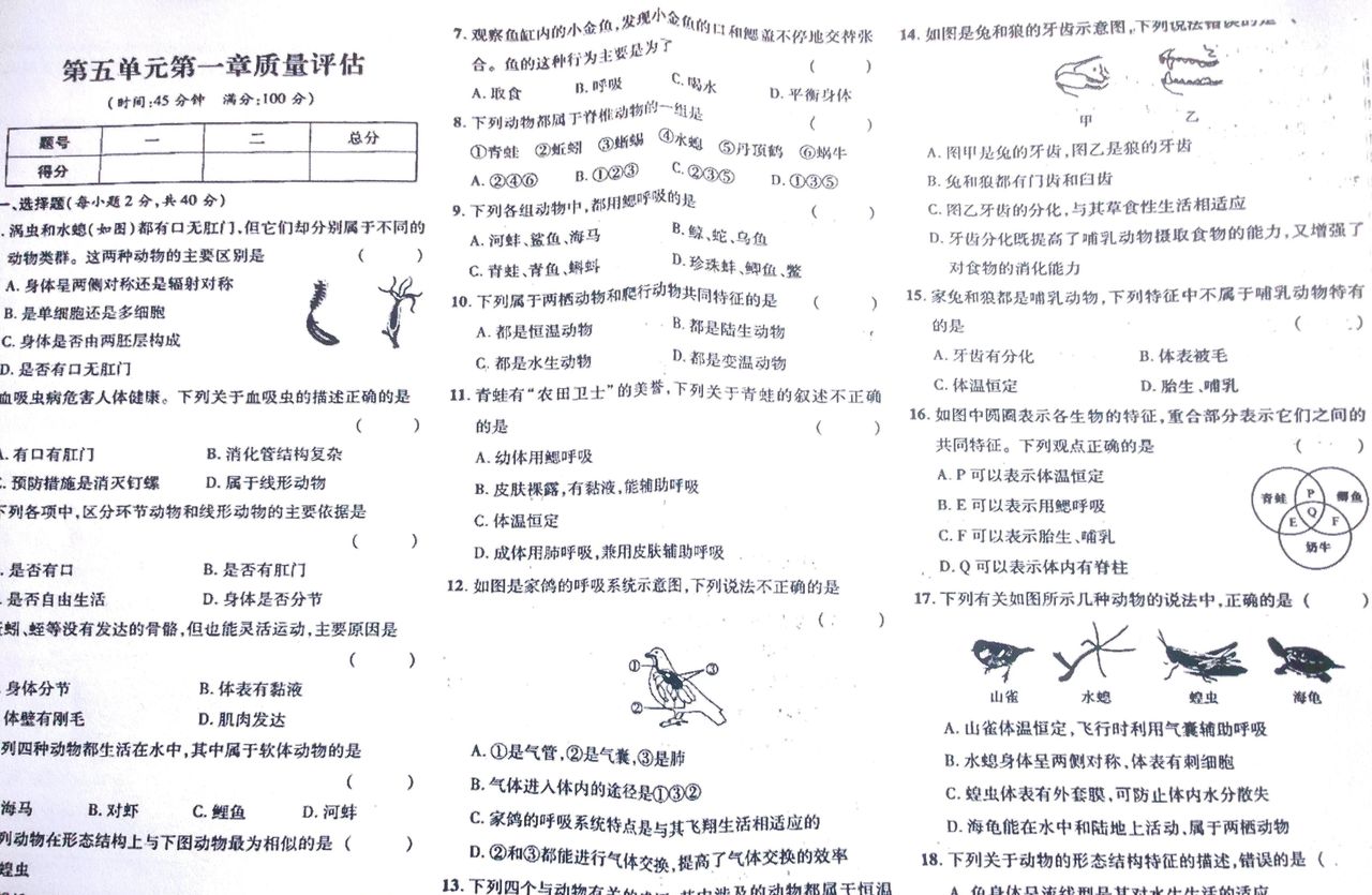 轻轻松松让试卷图片打印更清晰