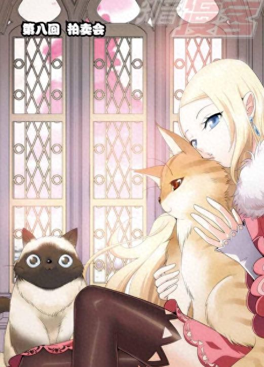 斗破苍穹第八篇－拍卖会 - 宋马