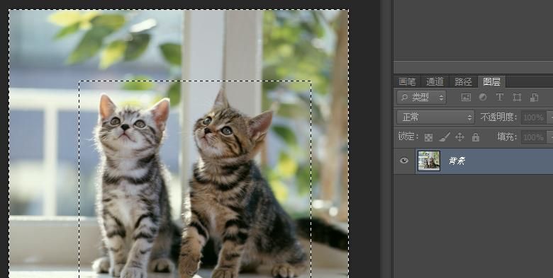 PS特效-为照片添加边框