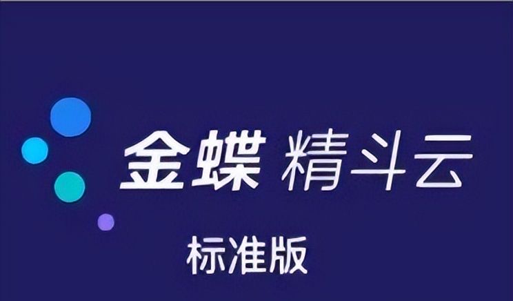 应城市金蝶财务软件