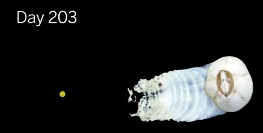 生蚝和藤壶这类无法自行移动的生物不会感到无趣吗？