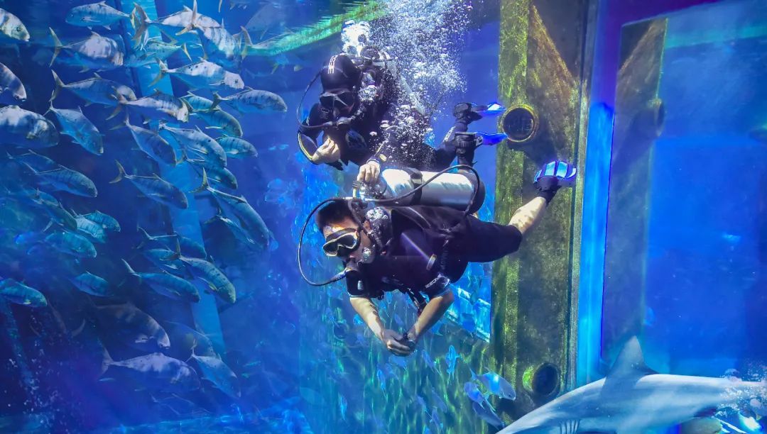 亚特兰蒂斯海景房免费送！三亚发布宠粉福利来啦→