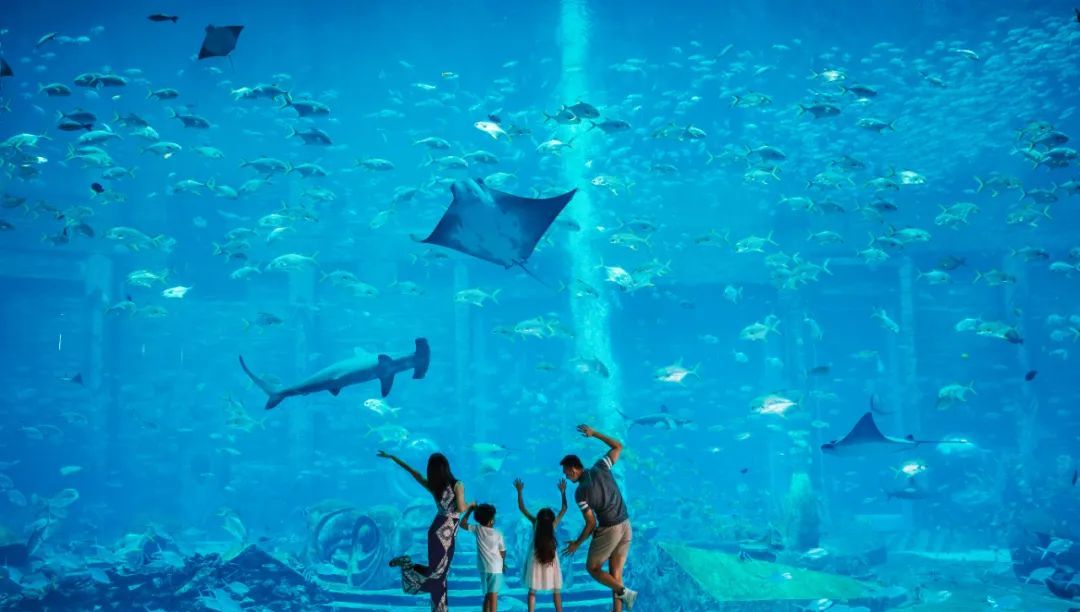 亚特兰蒂斯海景房免费送！三亚发布宠粉福利来啦→