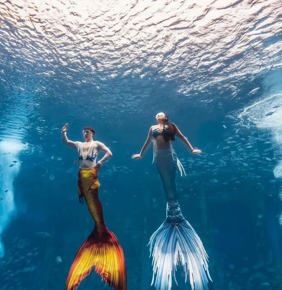 亚特兰蒂斯海景房免费送！三亚发布宠粉福利来啦→