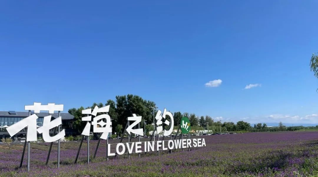 直播预告| 就在明天！温馨露营，消防有约