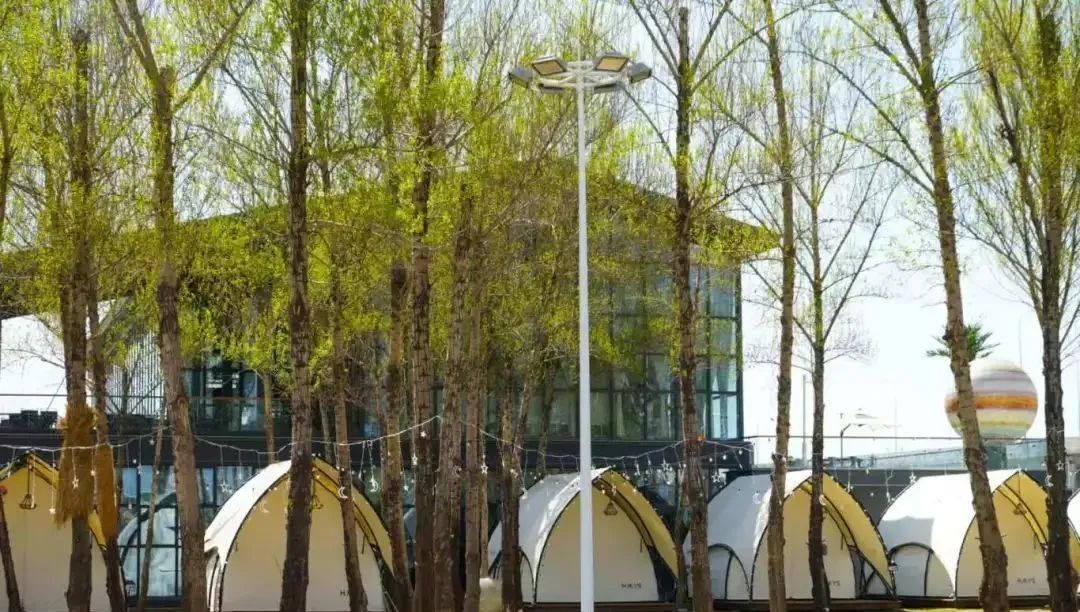 直播预告| 就在明天！温馨露营，消防有约