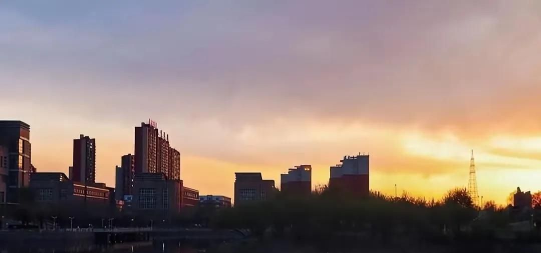 速看！计算机各专业区别，家长不要瞎选，否则就业会很难