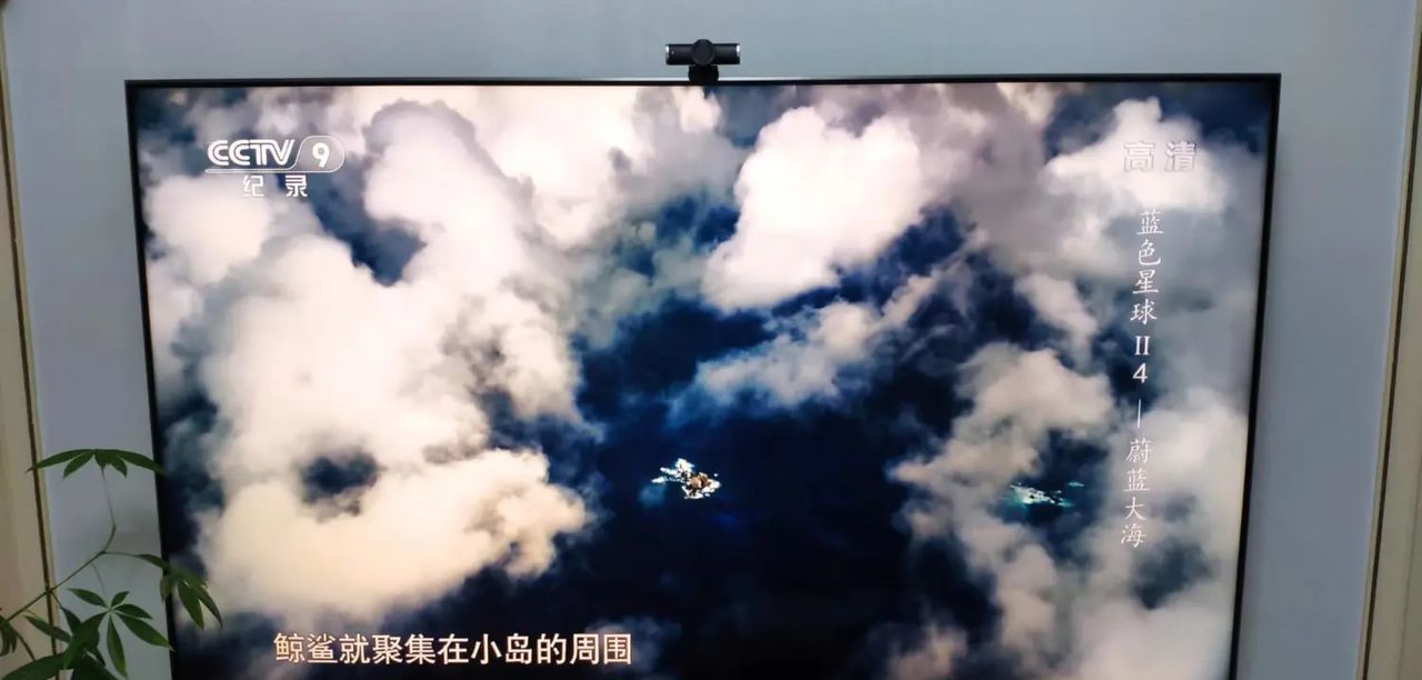 任意设备观看iptv