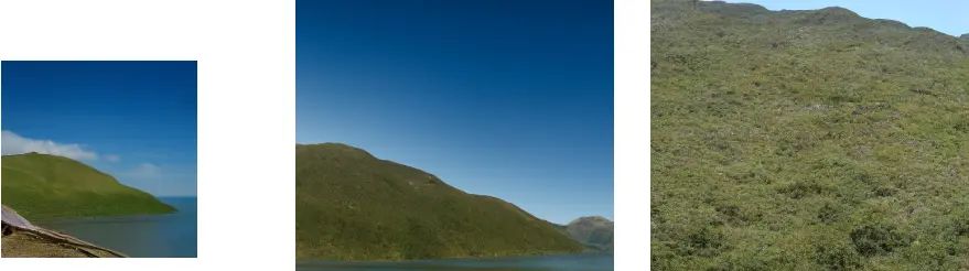 Latent Diffusion：高分辨率图像合成