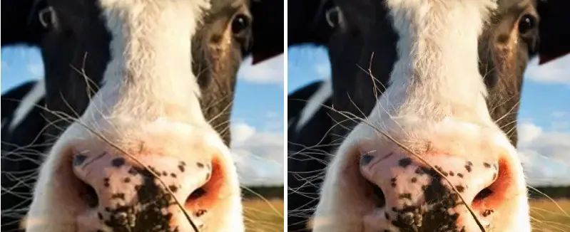 Latent Diffusion：高分辨率图像合成