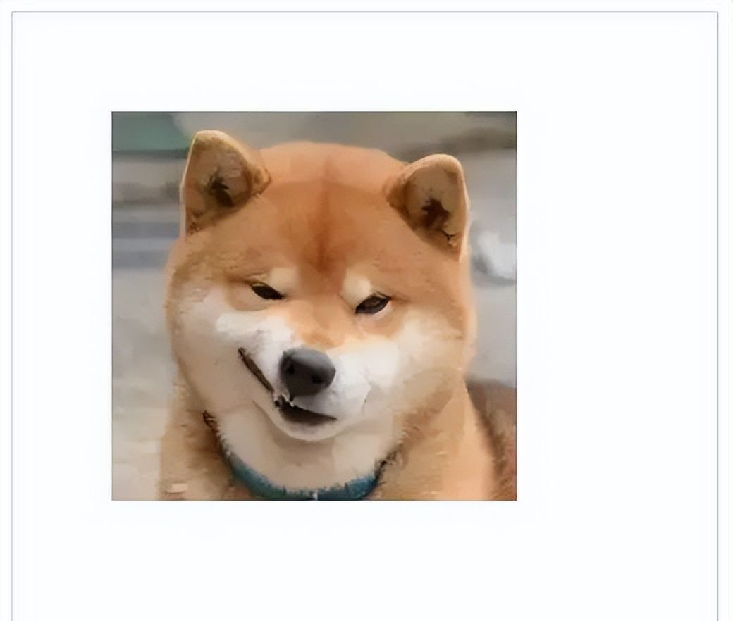 Canvas 从入门到劝朋友放弃（图解版）