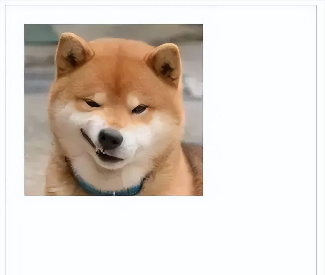 Canvas 从入门到劝朋友放弃（图解版）