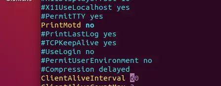 通过ssh在云主机后台运行程序技巧