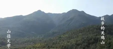 关鸡山，我与野麂滚成一团（山径·肖殿群文晓晓主播）