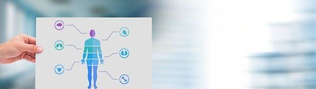 学习Excel表格的第一天-基础讲解