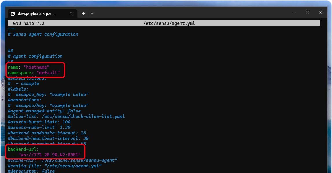如何在 Windows 11 或 10 上通过 WSL 安装 Sensu Go 监控工具