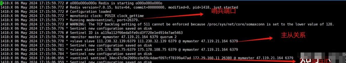 Redis教程——哨兵