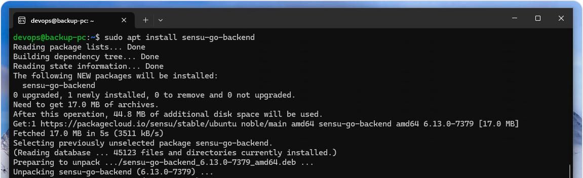 如何在 Windows 11 或 10 上通过 WSL 安装 Sensu Go 监控工具