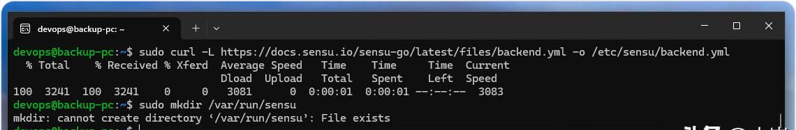 如何在 Windows 11 或 10 上通过 WSL 安装 Sensu Go 监控工具
