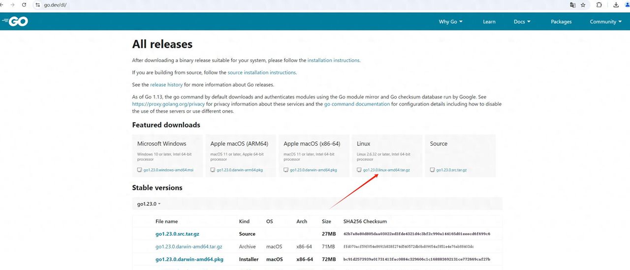 【Linux】在Linux下安装及配置go环境 - 宋马