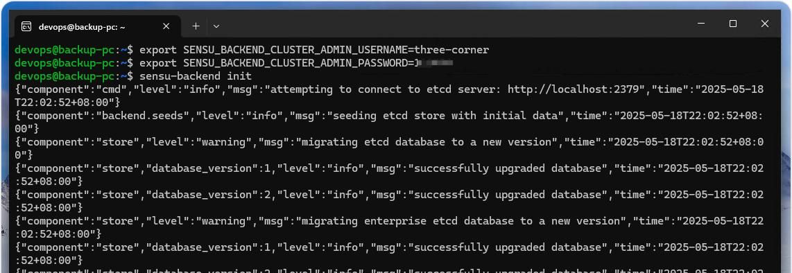 如何在 Windows 11 或 10 上通过 WSL 安装 Sensu Go 监控工具