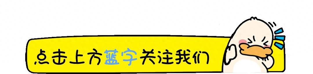 你见过最夸张的直播PK惩罚？网友：绝对疯了！ - 宋马