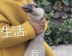 百度网盘两次被骂上热搜，到底冤不冤？