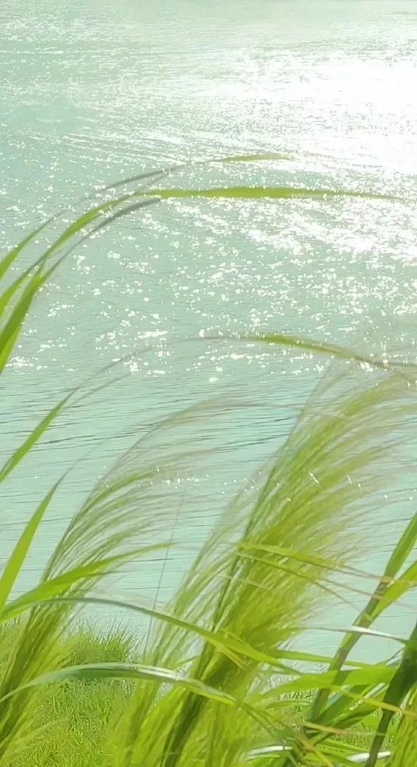 透明感手机壁纸｜3.28