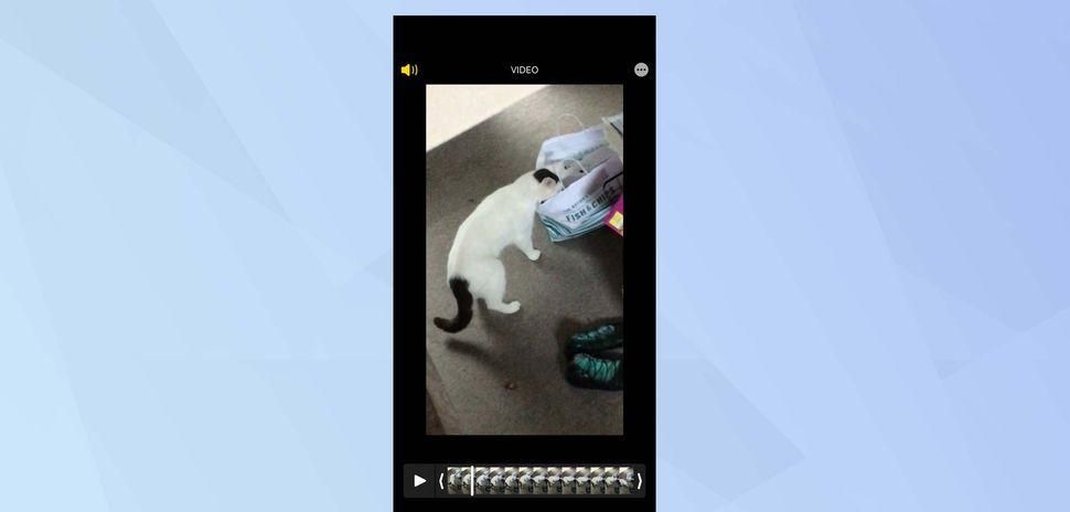 编辑视频无需第三方软件，在iPhone上也可以轻松编辑视频