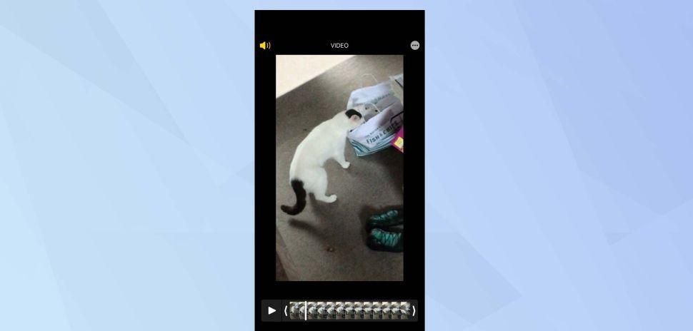 编辑视频无需第三方软件，在iPhone上也可以轻松编辑视频