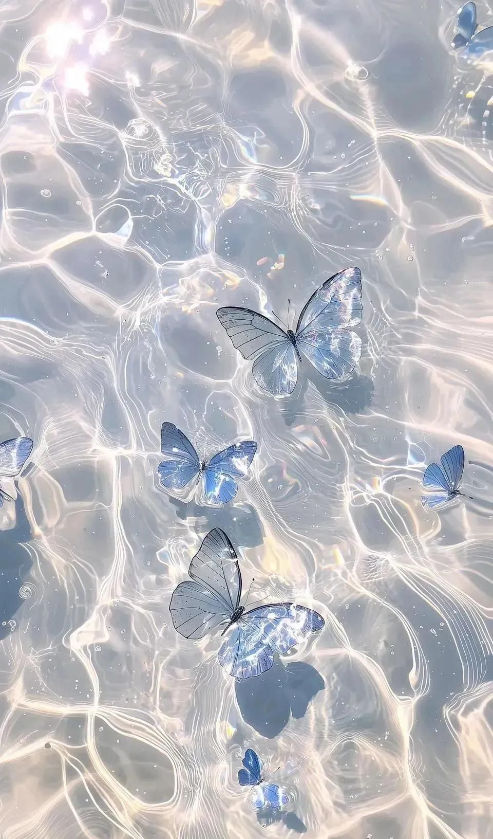 透明感手机壁纸｜3.28