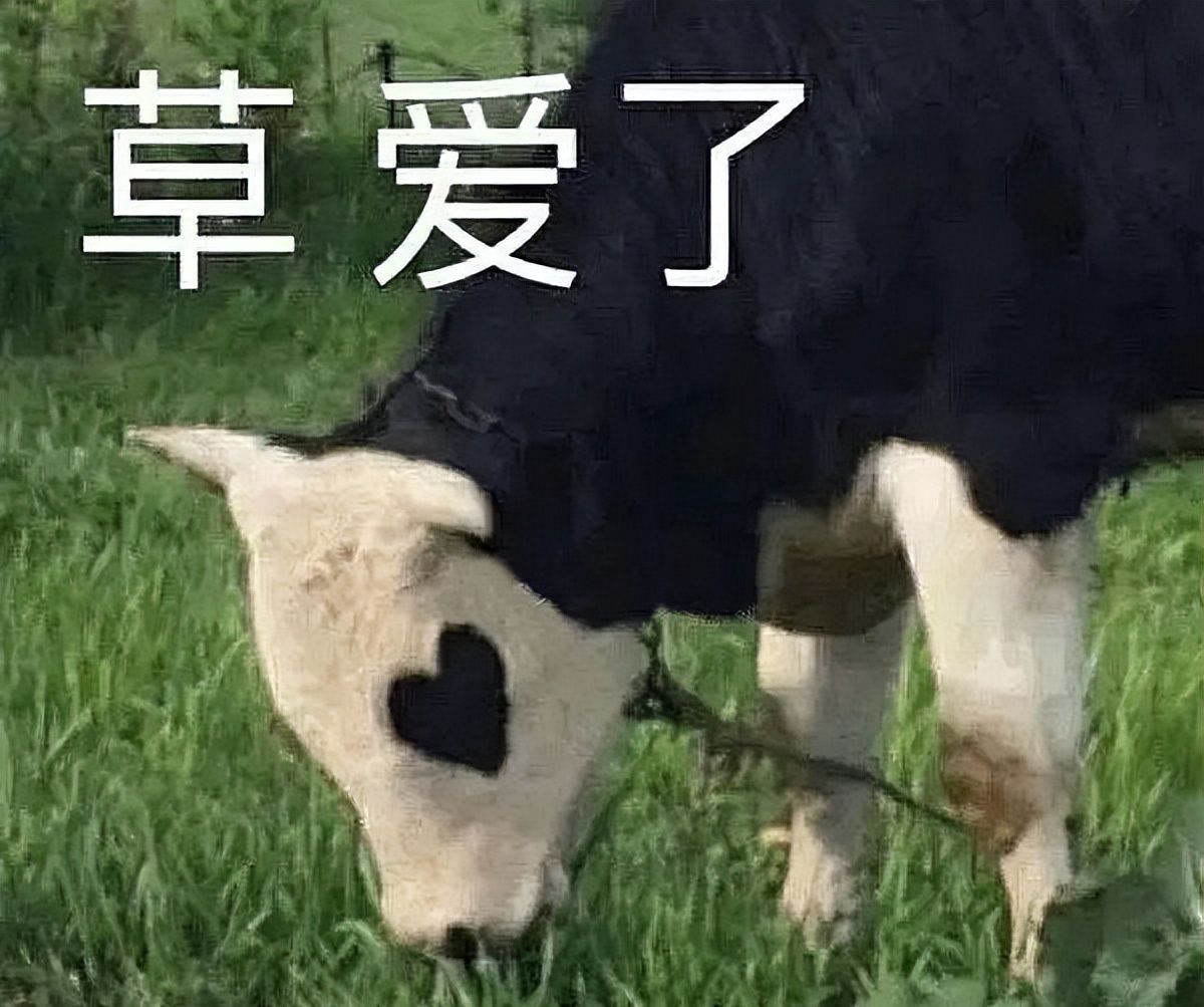 华为推出“系统云翻新”功能，旧手机能再战十年？